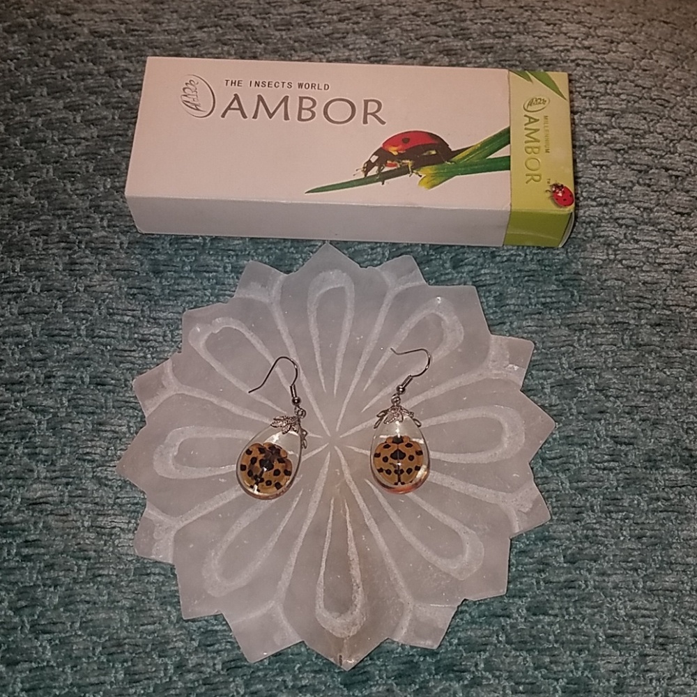 FLASH SALE Real Ladybug Earrings